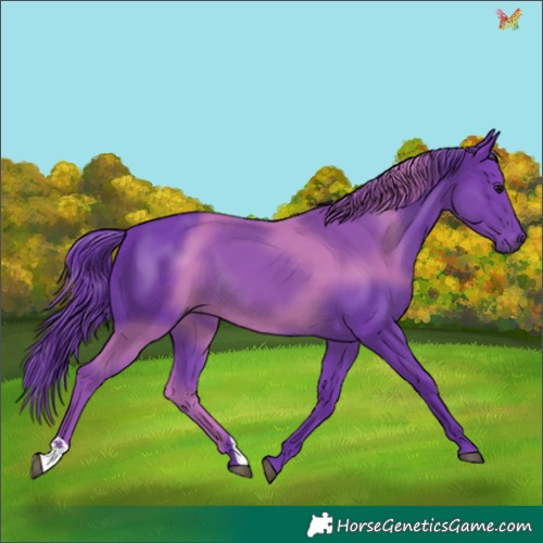 Horse Color:Watercolor Black 