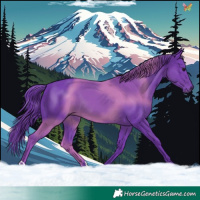 Horse Color:Watercolor Black 