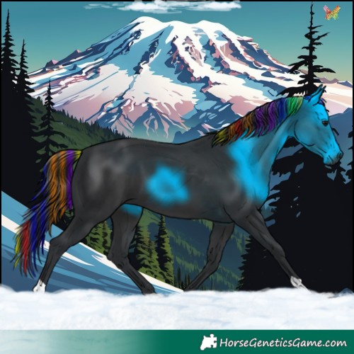 Horse Color:Painted Black 