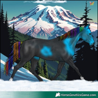 Horse Color:Painted Black