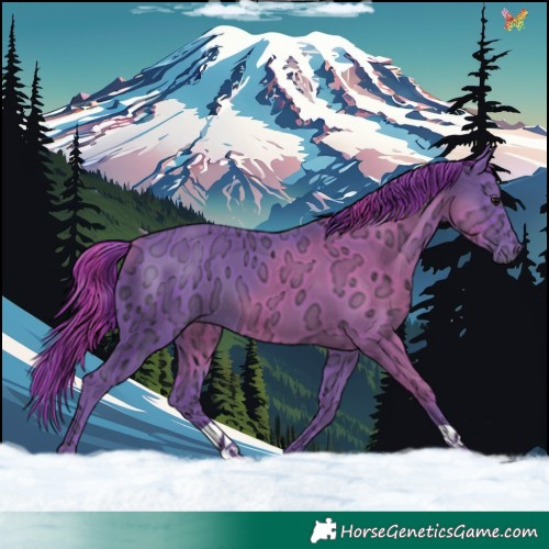Horse Color:Watercolor Black Ice 