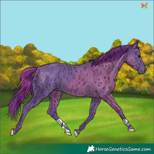 Horse Color:Watercolor Black Ice