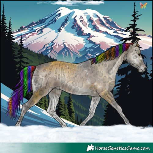 Horse Color:Painted Brown Ice Onyx 