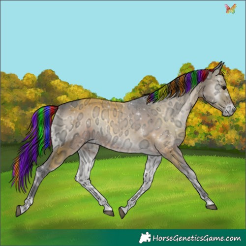 Horse Color:Painted Brown Ice Onyx 