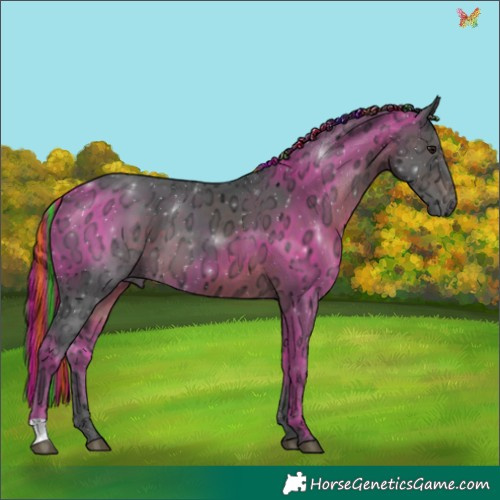 Horse Color:Painted Brown Ice 