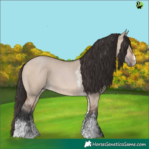 Horse Color:Bay Dun Sabino