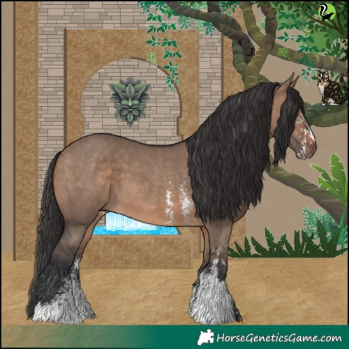 Horse Color:Brown Dun Sabino 