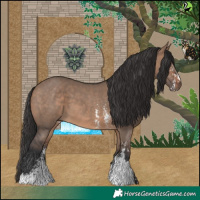 Horse Color:Brown Dun Sabino 