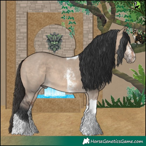 Horse Color:Bay Dun Sabino Tobiano 