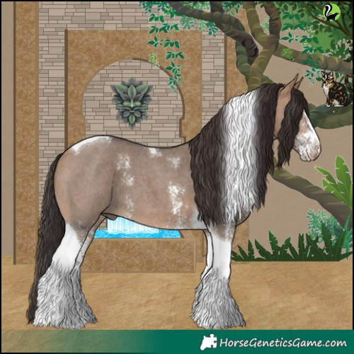 Horse Color:Bay Dun Sabino Tobiano 