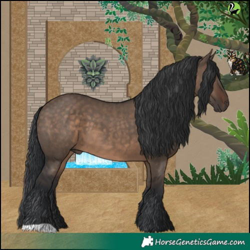 Horse Color:Brown Dun 