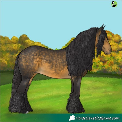 Horse Color:Buckskin 
