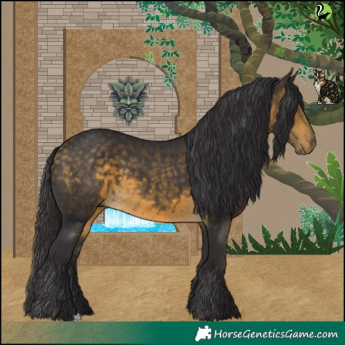 Horse Color:Buckskin 
