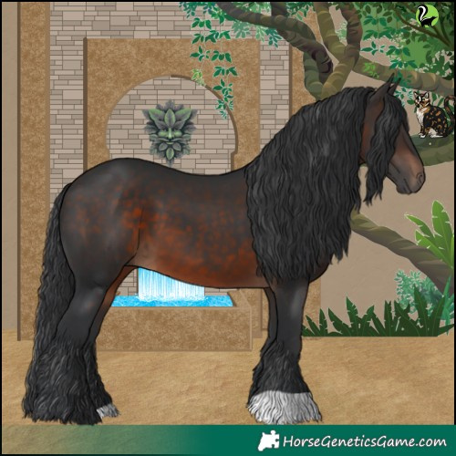 Horse Color:Brown 