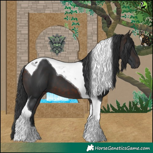 Horse Color:Brown Tobiano 