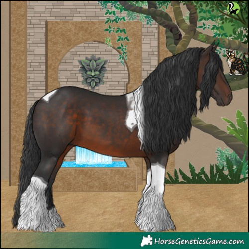 Horse Color:Brown Tobiano 
