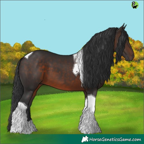 Horse Color:Brown Tobiano