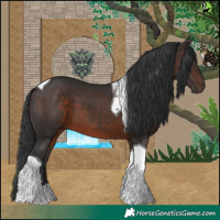 Horse Color:Brown Tobiano 