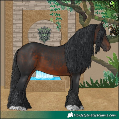 Horse Color:Brown 
