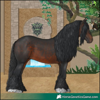 Horse Color:Brown 
