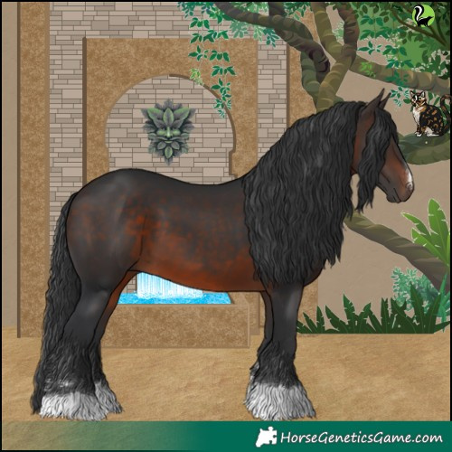 Horse Color:Brown 