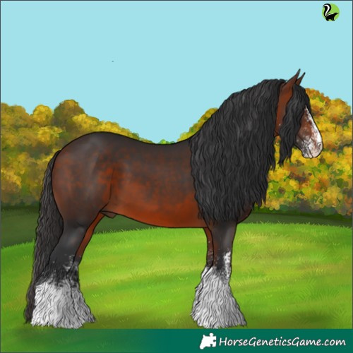 Horse Color:White Spotted Bay Tobiano