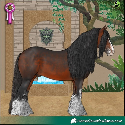 Horse Color:White Spotted Bay Tobiano 