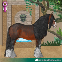 Horse Color:White Spotted Bay Tobiano 