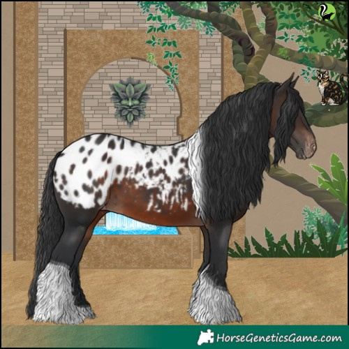 Horse Color:Brown Tobiano Blanket 