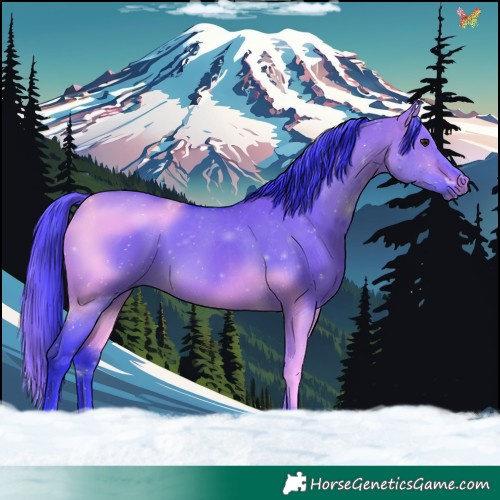 Horse Color:Watercolor Brown Dun 