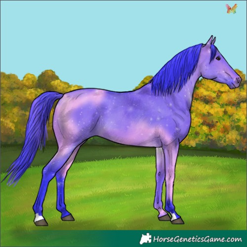 Horse Color:Watercolor Brown Dun 