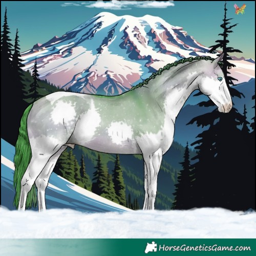 Horse Color:Watercolor Buckskin Dun Splash Tobiano 