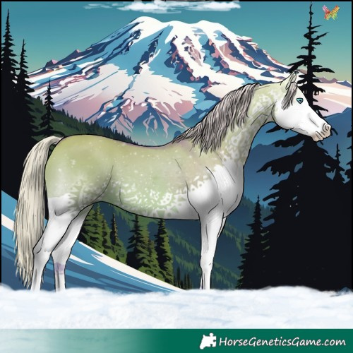 Horse Color:Watercolor Silver Brown Dun Splash 