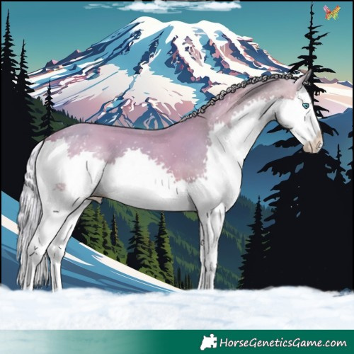 Horse Color:Watercolor Silver Brown Dun Splash 