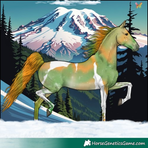 Horse Color:Watercolor Bay Dun Tobiano 