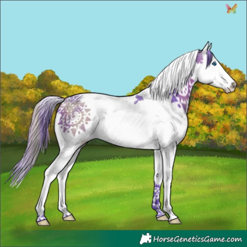 Horse Color:Watercolor Brown Splash Tobiano