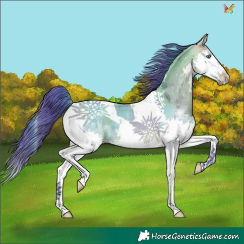 Horse Color:Watercolor Brown Dun Splash Tobiano 