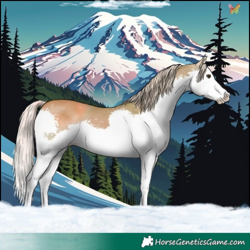 Horse Color:Watercolor Chocolate Palomino Dun Splash 