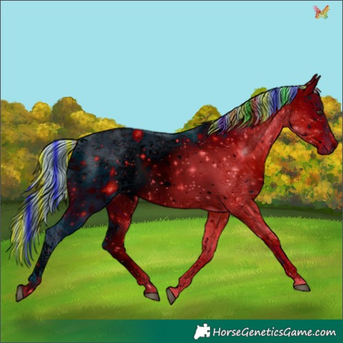 Horse Color:ERROR: UNKNOWN ANOMALY