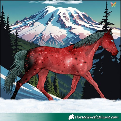 Horse Color:ERROR: UNKNOWN ANOMALY