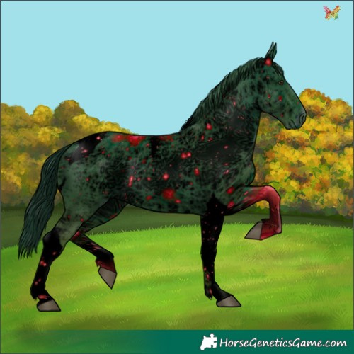 Horse Color:ERROR: UNKNOWN ANOMALY