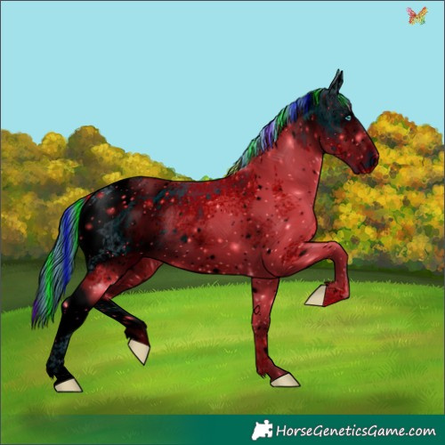 Horse Color:ERROR: UNKNOWN ANOMALY