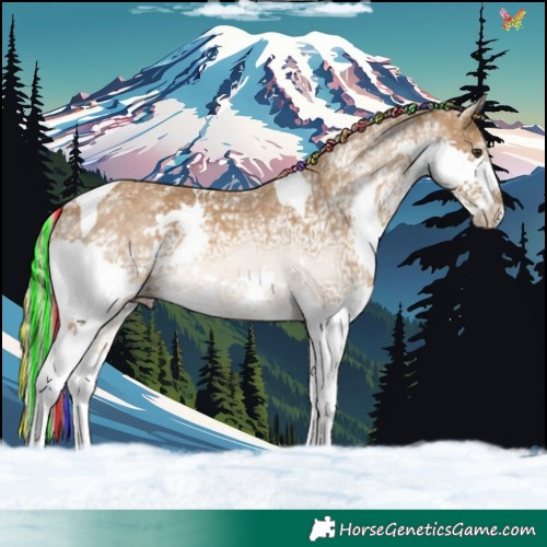 Horse Color:Painted Chocolate Palomino Ice Splash Tobiano 