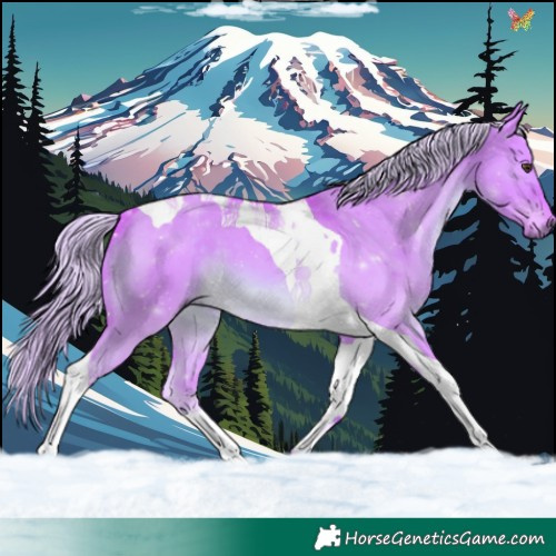 Horse Color:Watercolor Chocolate Palomino Dun Tobiano 