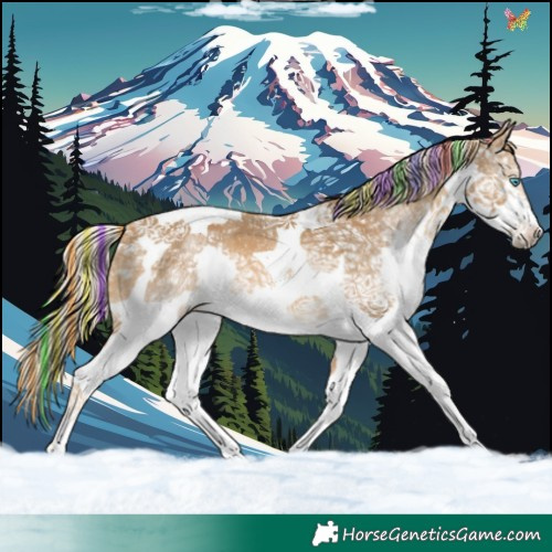 Horse Color:Painted Chocolate Palomino Ice Splash Tobiano 