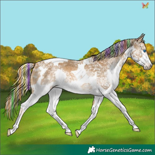 Horse Color:Painted Chocolate Palomino Ice Splash Tobiano 