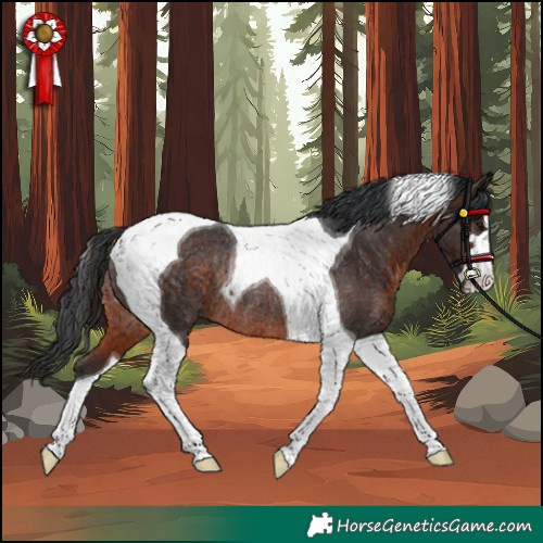 Horse Color:Brown Tobiano Rabicano 