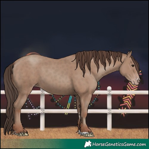 Horse Color:Classic Champagne