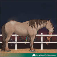 Horse Color:Classic Champagne 