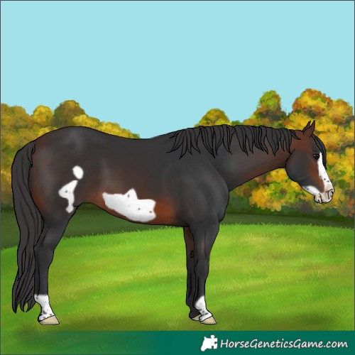 Horse Color:Brown Frame 